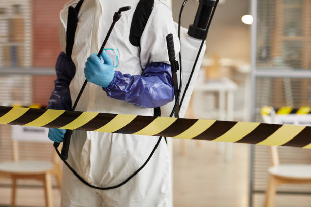 Professional Sewage Cleanup technician working in Thorndale, PA